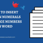How To Insert Roman Numerals And Page Numbers In Word Software Accountant