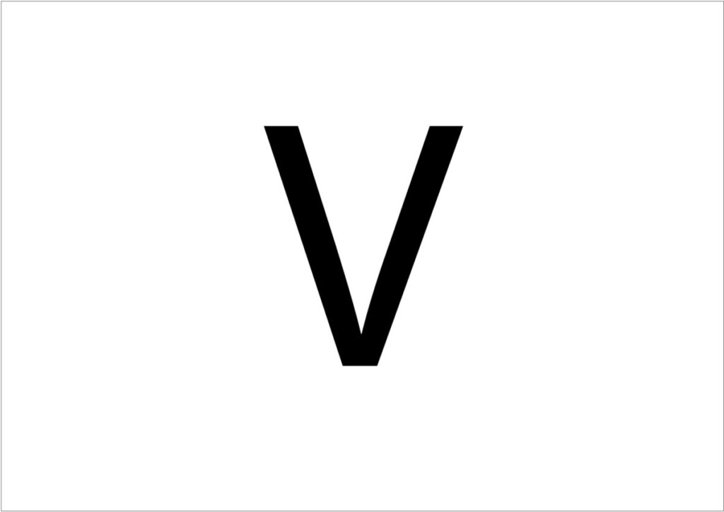  Roman Numeral 5 